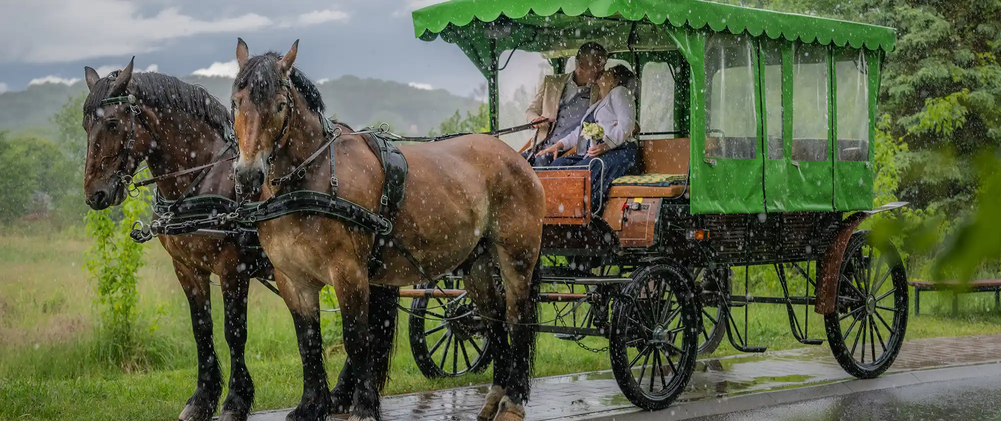 Pferdekutsche im Regen