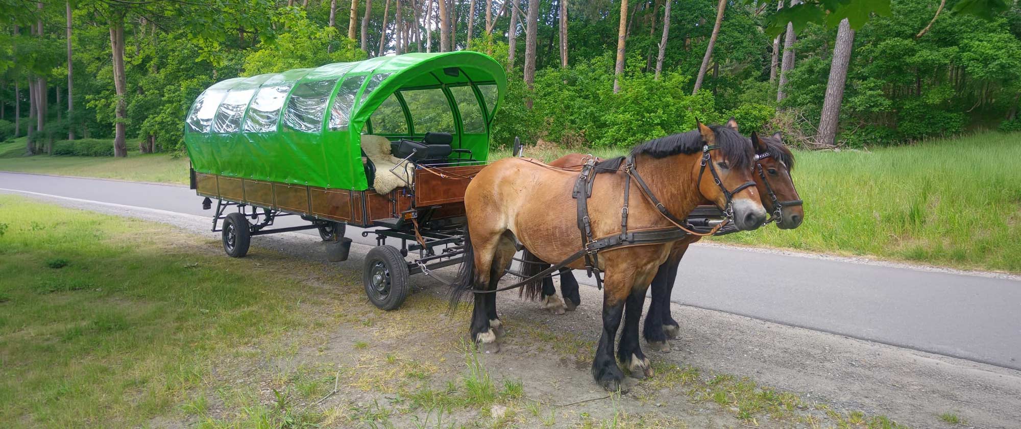 Kutschfahrt Insel Usedom Pferdehof Ramthun Tour